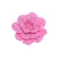 00472---Flor-Christy.472--2-